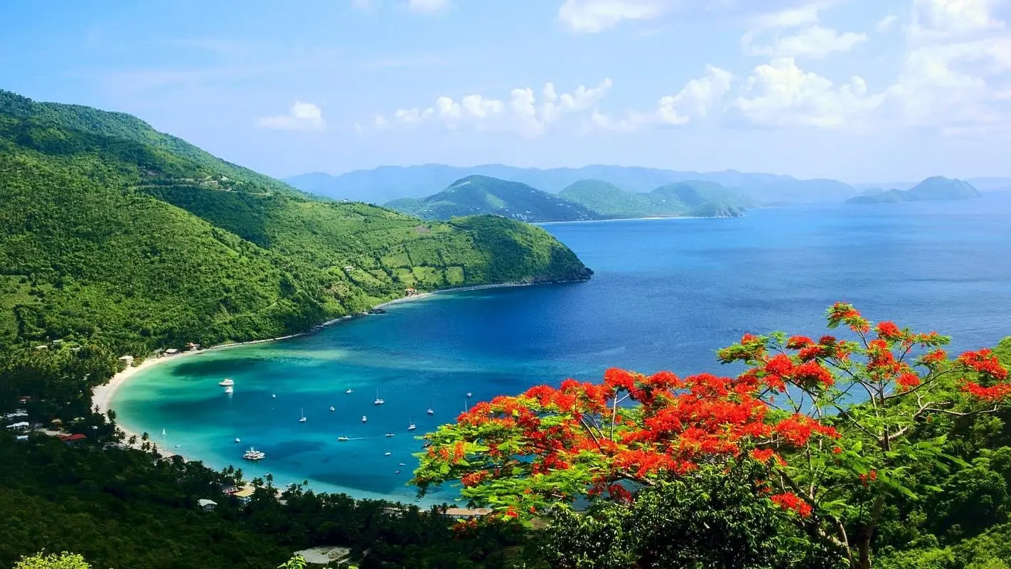 高性能稳定性智能系统